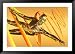 Human Genome Education Framed Photographic Poster Print by Carol & Mike Werner, 45x32