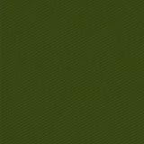 Review Comfort Research 0400103 / 0live The Video Rocker Twill