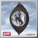 WYOMING COWBOYS WYO Swirly Metal Wind Spinner