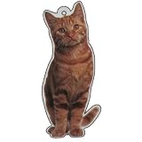 41mSMUmtPTL. SL160  LittleGifts Cat Lover Air Freshener