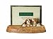 Living Stone 4-Inch by 6-Inch Opening Beagle Frame
