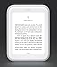 NOOK GLOWLIGHT eBook Reader 4GB (BNRV500)