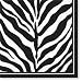 Serengeti Zebra Black & White Beverage Napkins