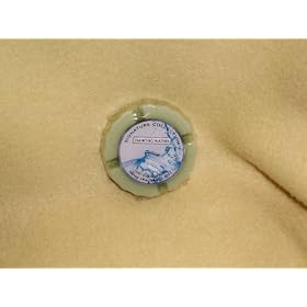 Slatkin and Co. Home Fragrance Disc *Dancing Waters*