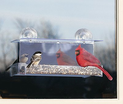 Cardinal One Way Mirror Feeder Clear