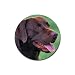 Labrador Retriever Lab Rubber Round Coaster (4 pack)