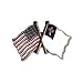 USA Flag and Christian Flag Lapel pin