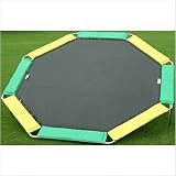 16 ft. Octagon Trampoline with Enclosure Pad Color: Purple