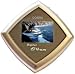 COBRA DIGITAL DPF25 1-inch Digital Photo Frame