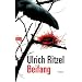 Beifang: Roman