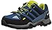 adidas Outdoor Terrex Gore-Tex Hiking Boot (Little Kid/Big Kid)
