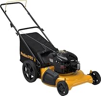 Earthwise 60220 20 Inch 24 Volt Side Discharge Mulching Bagging Cordless Electric Lawn Mower Complete Lawn Mower Kit