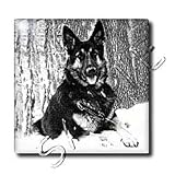 Dogs German Shepherd - German Shepherd - Tiles