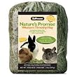 Timothy Hay for Small Animals