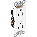DR15-SA 15A Decorative Duplex Rec. S/G Almond