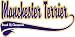 Manchester Terrier Breed of Champion Apron