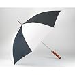 All-Weather&trade; 48" Auto Open Umbrella