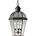 Progress Lighting P5531-20 Danbury Chain-Hung Fixture, Antique Bronze