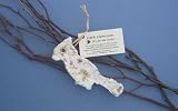 New Cast Paper Art Edible Ornament-Cardinal Set Of 6 Recycled Cotton Fiber Flowers No Mess Seeds