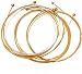 Lyon by Washburn Lyon Acoustic Guitar Strings - 807T