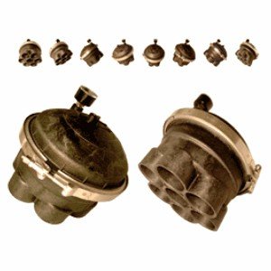 Paramount 6 Port Module