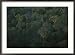 Aerial View of a Rainforest in Suriname, South America Framed Photographic Poster Print by Stephen Alvarez, 36x27