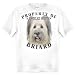 Briard Property Of Adult T Shirt