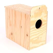 Ware Manufacturing Love Bird Wood Reverse Nest Box
