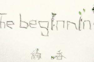 The beginning(DVD+豪華ブックレット写真集付)(初回生産限定盤)