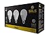 SELS LED A19 60-Watt Equivalent LED Light Bulb, E26 Standard Base, Daylight (3 Pack)