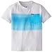 Hurley Little Boys' One Pocket Water Tee