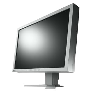 EIZO EV2411WH-GY 24 Zoll Widescreen LCD Monitor mit LED Backlight, DVI-D und DSub (Kontrast 1000:1, 5ms Reaktionszeit) lichtgrau, Säulenstandfuß