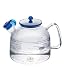 Kitchen & Housewares : Clara Glass Stovetop Water Kettle By Bodum