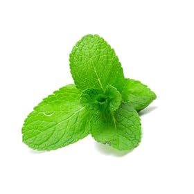 Fresh Mint Peppermint Tops 50 Count - Avg 3 oz