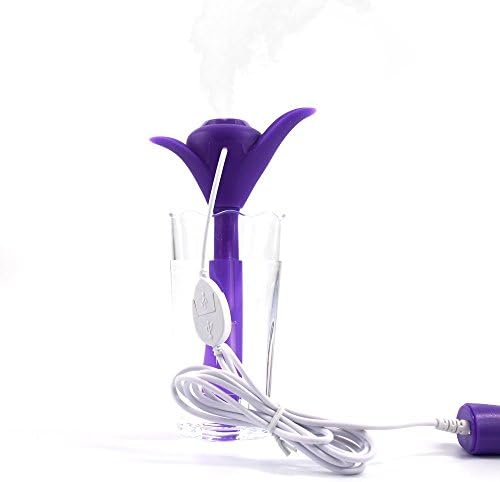 Choigle USB Portable Nebulizer Water Bottle Caps Humidifier USB Air Diffuser (Purple)