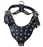 Leather Dog Black Harness Spiked Large 25.5