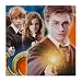 Party Supplies - Harry Potter Napkins (16)