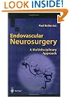 Endovascular Neurosurgery: A Multidisciplinary Approach (Bailliere's Clinical Neurology S.)