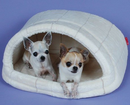 グリ系横长ドーム型 S appydog 风笔图案潜水