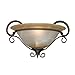 Read Golden Lighting 3890-WSC GB Meridian One Light Wall Sconce, Golden Bronze Finish Details Golden Lighting 3890-WSC GB Meridian One Light Wall Sconce, Golden Bronze Finish