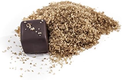 Gourmet Dark Chocolate Covered Sea Salt Caramels 12 pc in Elegant Gift Box