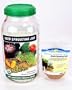Seed Sprouting Jar, Glass Half Gallon - 1 pc,(Handy Pantry)
