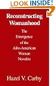 Reconstructing Womanhood: The Emergence of the Afro-American Woman Novelist