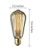 ChiKoo ST64 -1 Pack Vintage Edison Bulbs-Squirrel Cage Filament-60 Watt Antique Edison Bulbs- Dimmable