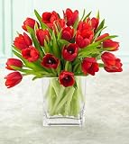 20 Stems Red Tulips with FREE Vase