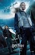 Harry Potter And The Goblet Of Fire - Framed Movie Postcard (Ron & Fleur)