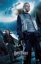 Harry Potter And The Goblet Of Fire - Framed Movie Postcard (Ron & Fleur)