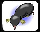Decorated Mouse Pad with blind image
