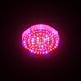 LED Wholesalers 2506RBOW Blue/Red/Orange/White 90 x 1 Watt LED High Power Round Grow Light