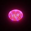 LED Wholesalers 2506RBOW Blue/Red/Orange/White 90 x 1 Watt LED High Power Round Grow Light